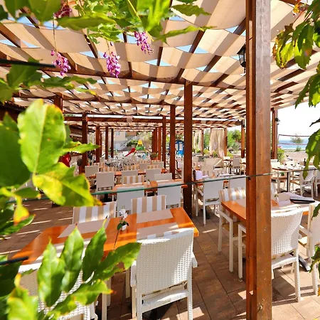 Apartamento Dalmatia In Island Ugljan With Swimmingpool Preko